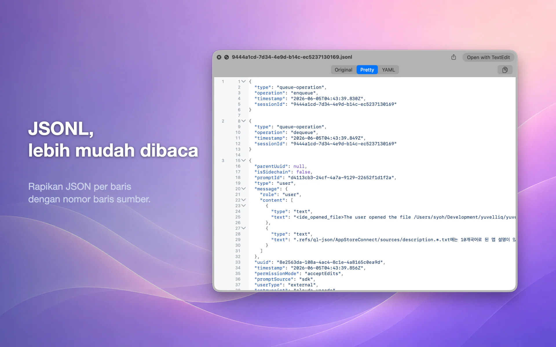 QLook JSON — Mac 5